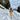 Dog running on a snowy path with mountains and trees in the background
